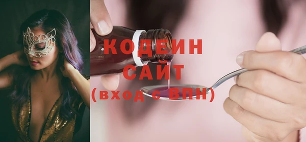 соль ск Сосновка